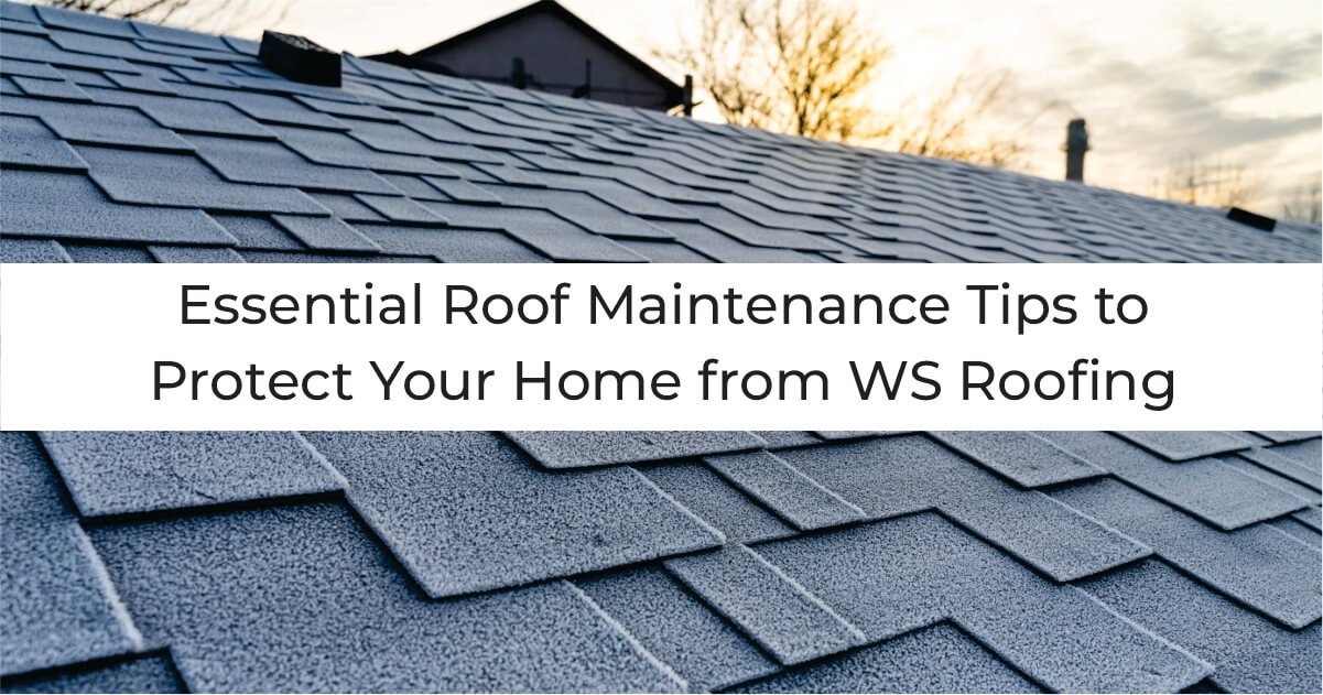 Essential Roof Maintenance Tips to Protect Your Home from WS Roofing